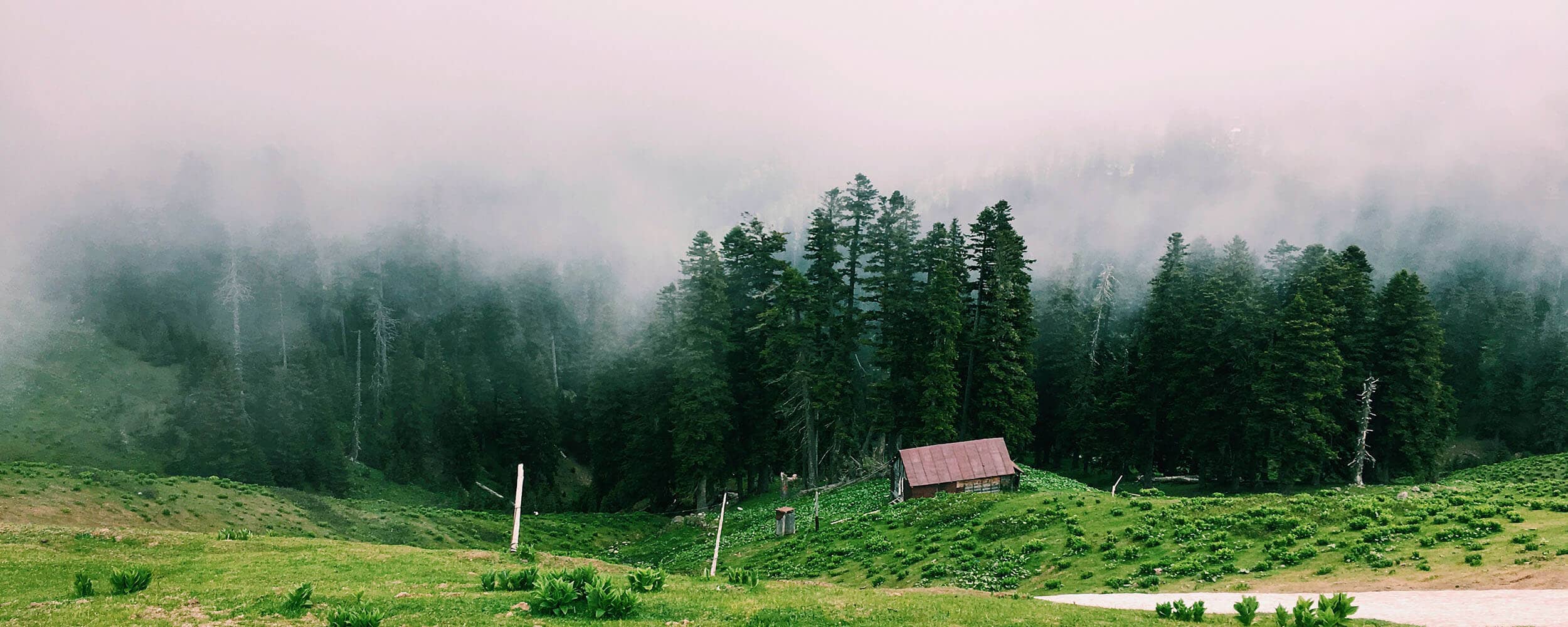 Way To Georgia Travelers Guide