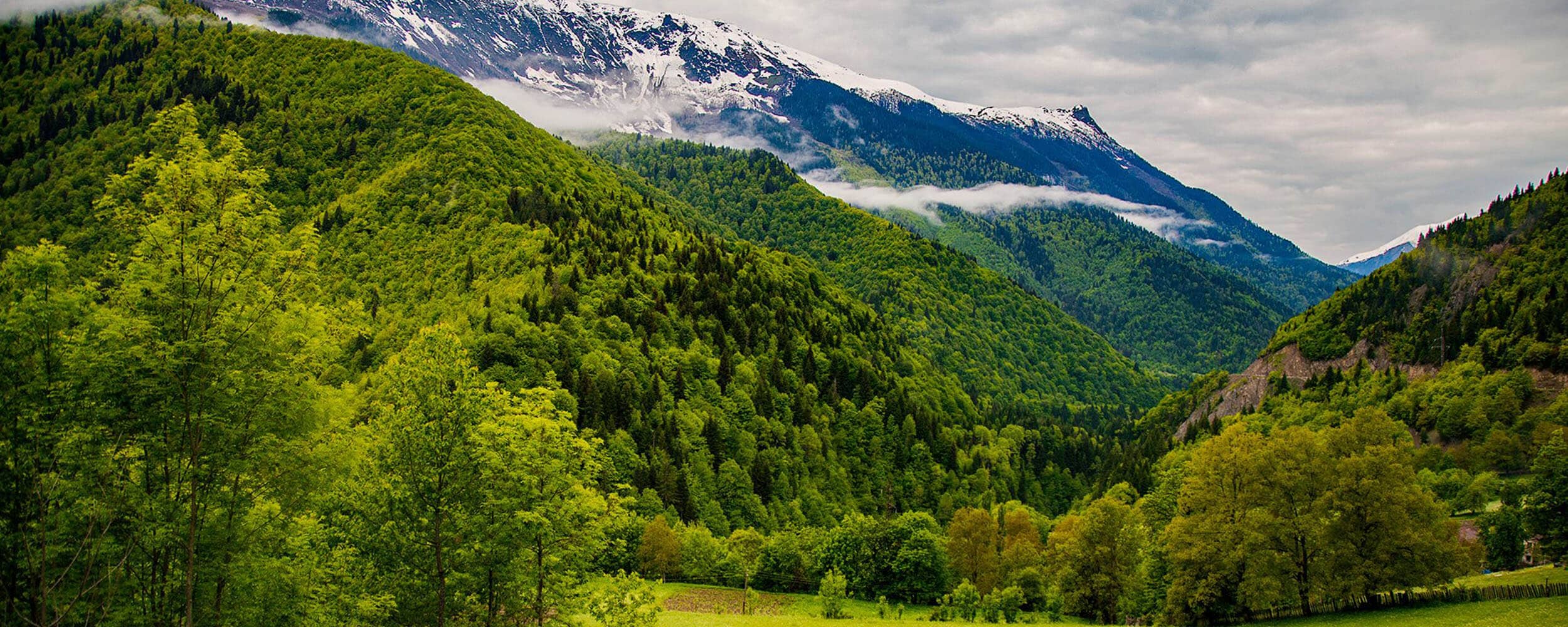 Way To Georgia Travelers Guide