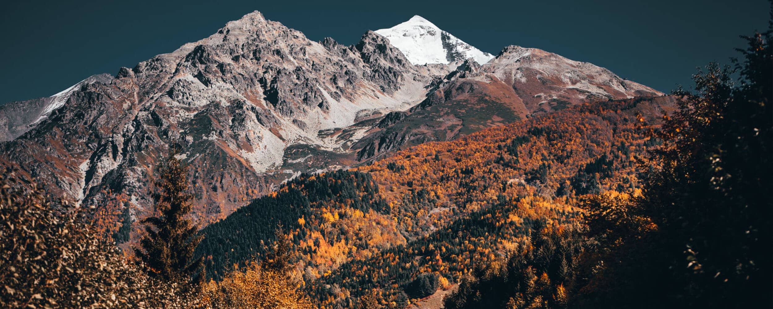 Way To Georgia Travelers Guide