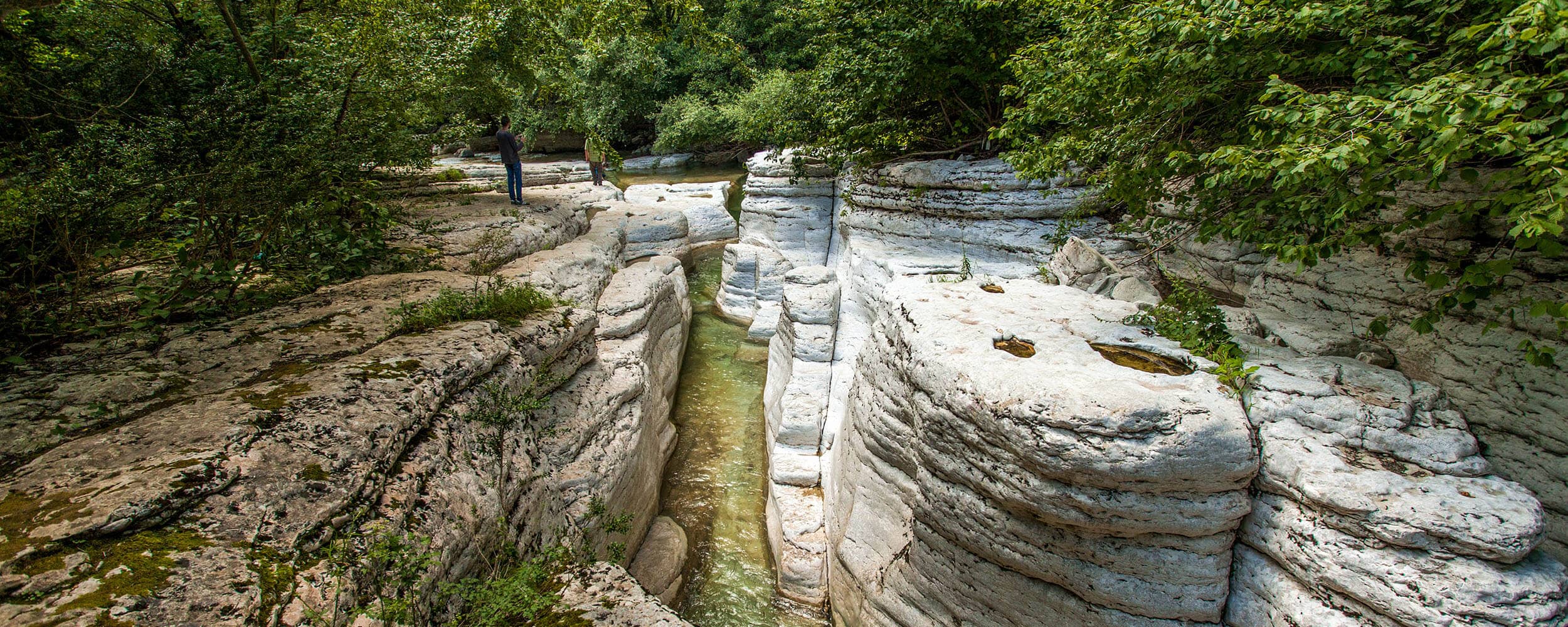 Way To Georgia Travelers Guide